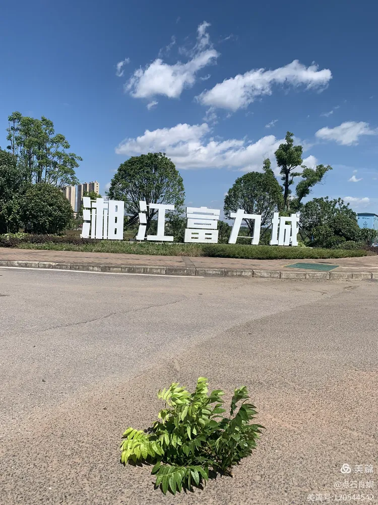 湘江富力城建筑类型高层,超高层,板塔结合楼盘地址:长沙南湘江畔经济